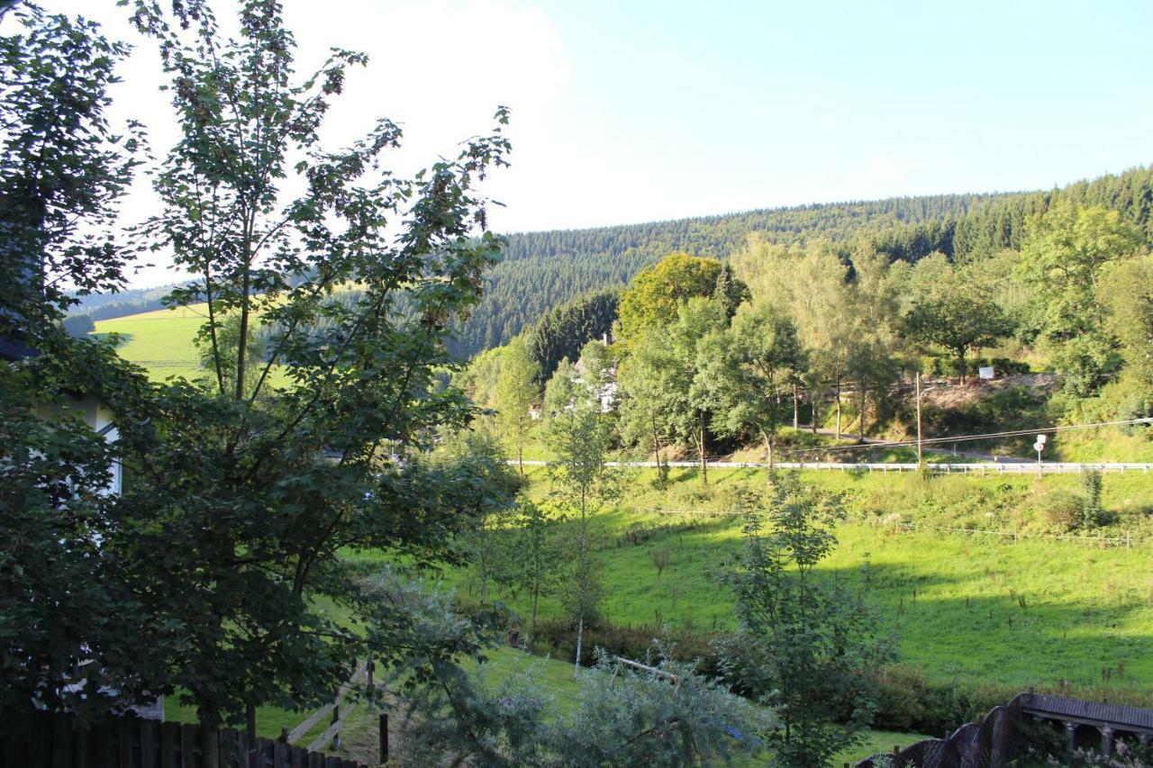 Haus Talblick Villa Schmallenberg Dış mekan fotoğraf