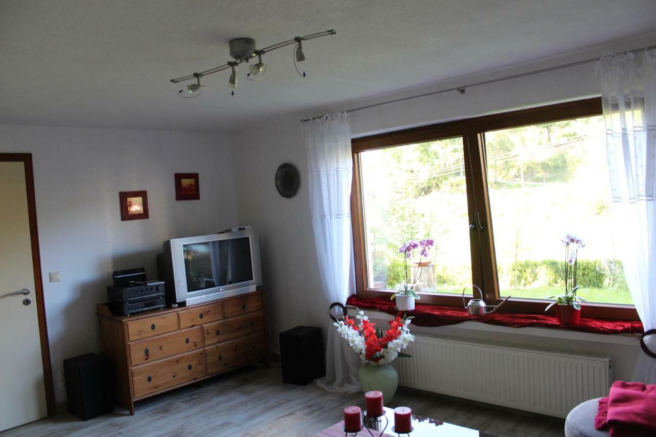Haus Talblick Villa Schmallenberg Dış mekan fotoğraf