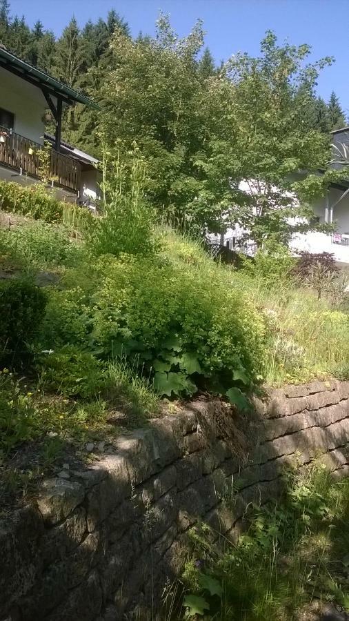 Haus Talblick Villa Schmallenberg Dış mekan fotoğraf