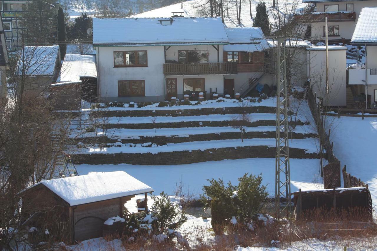 Haus Talblick Villa Schmallenberg Dış mekan fotoğraf